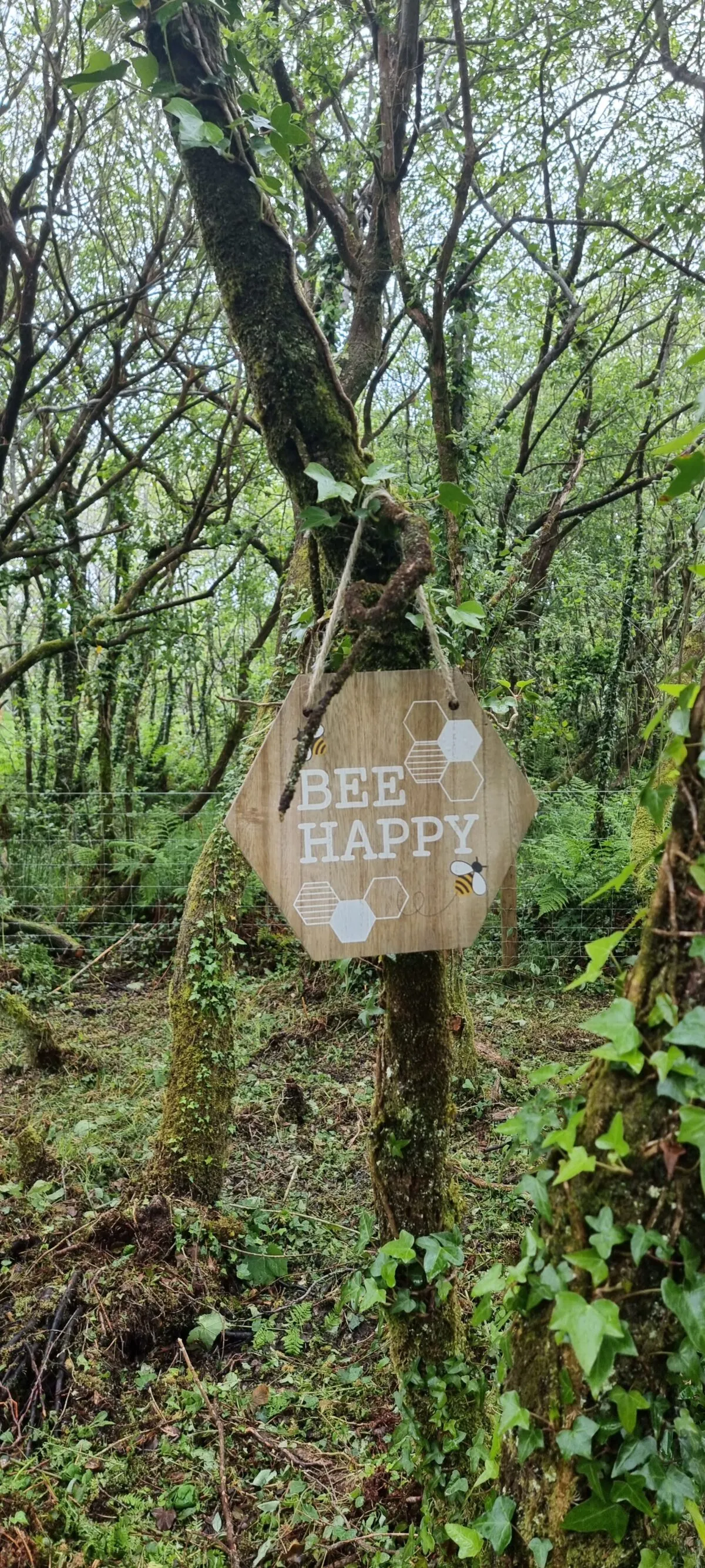 Goats Path Farm & Pod Park — photo 24 of 80