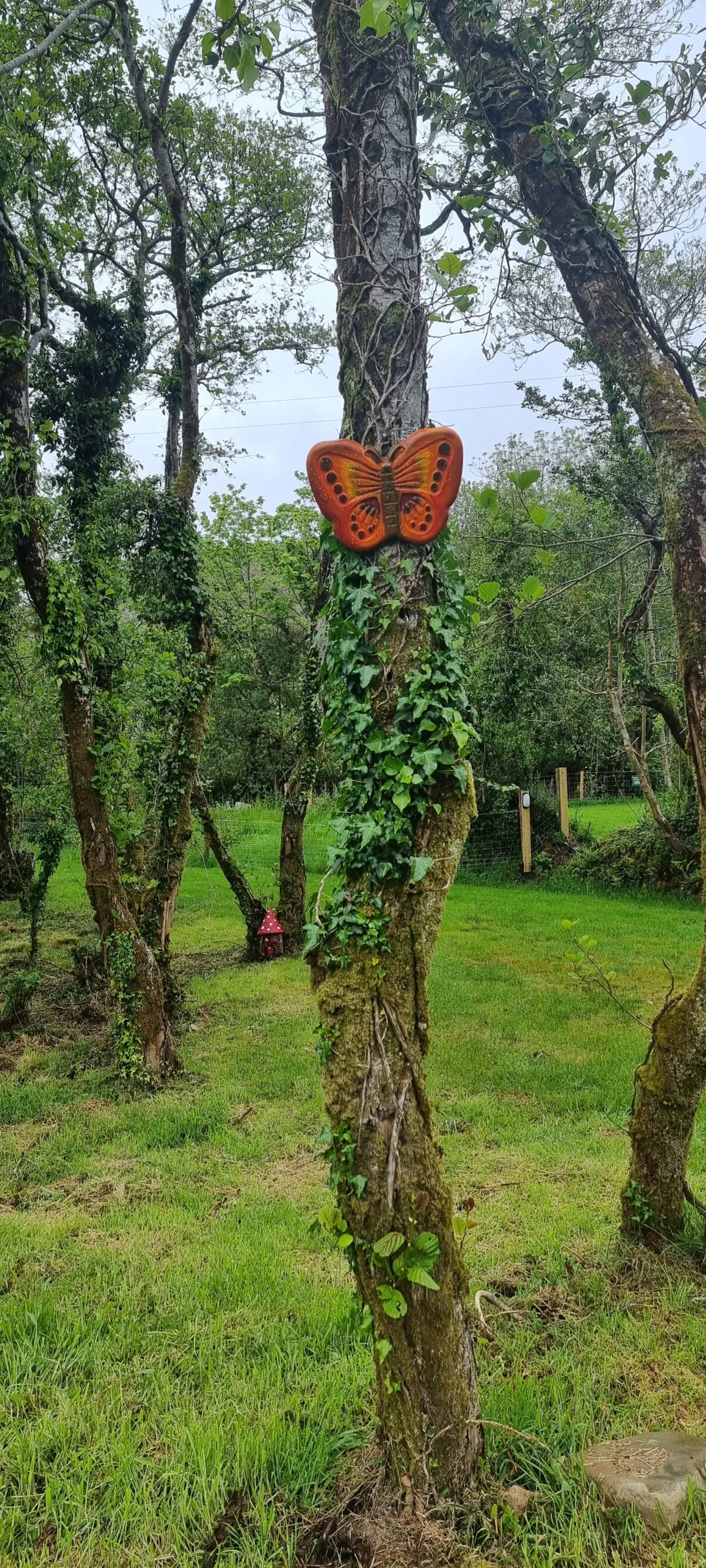 Goats Path Farm & Pod Park — photo 33 of 80