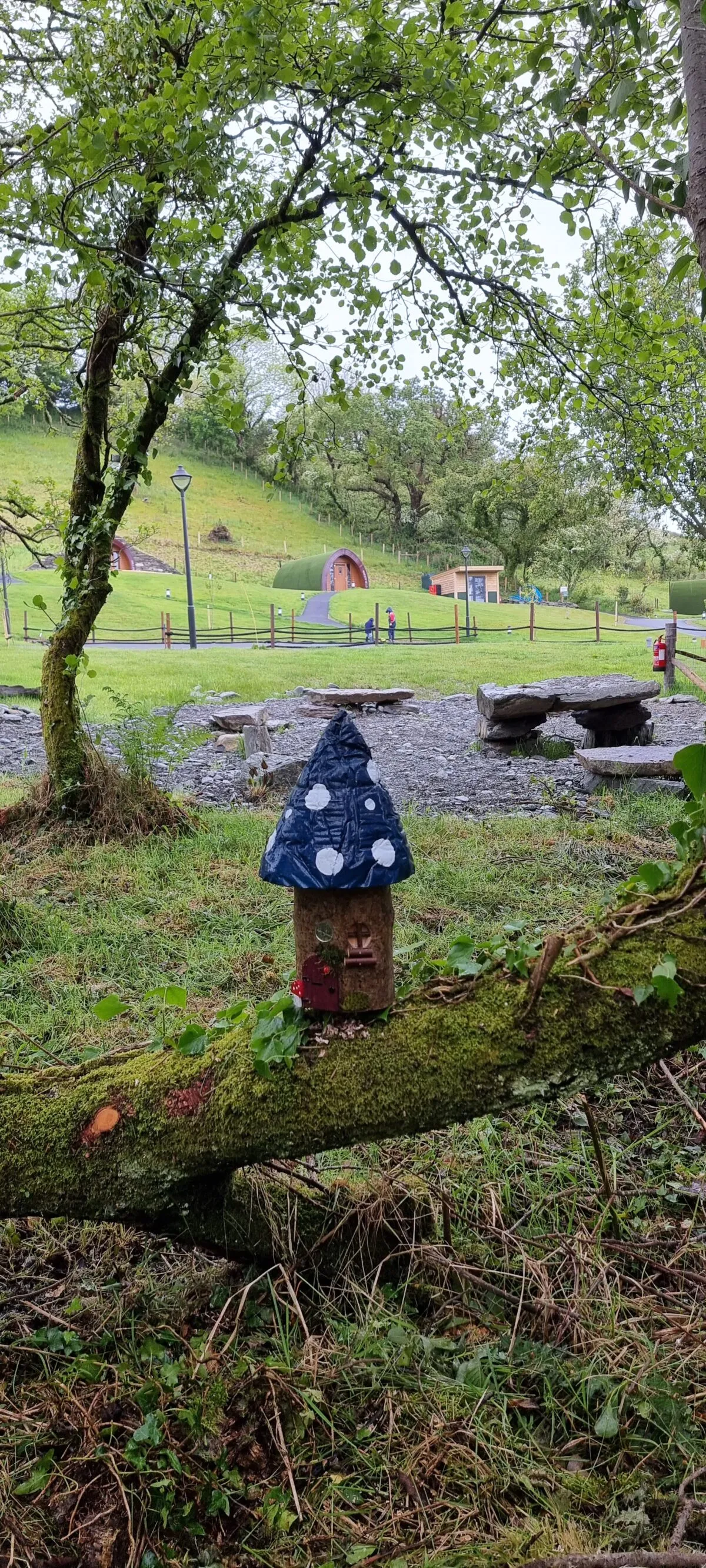 Goats Path Farm & Pod Park — photo 38 of 80