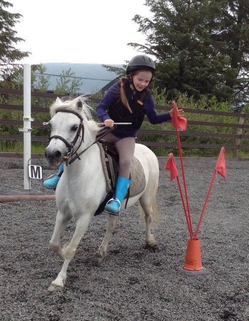Bantry Bay Pony Trekking
