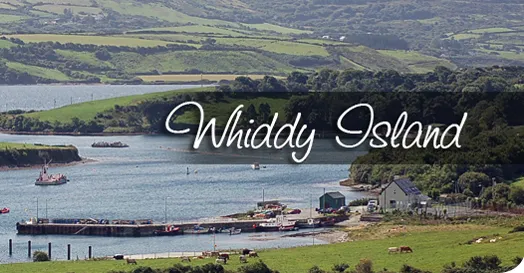 Whiddy Island