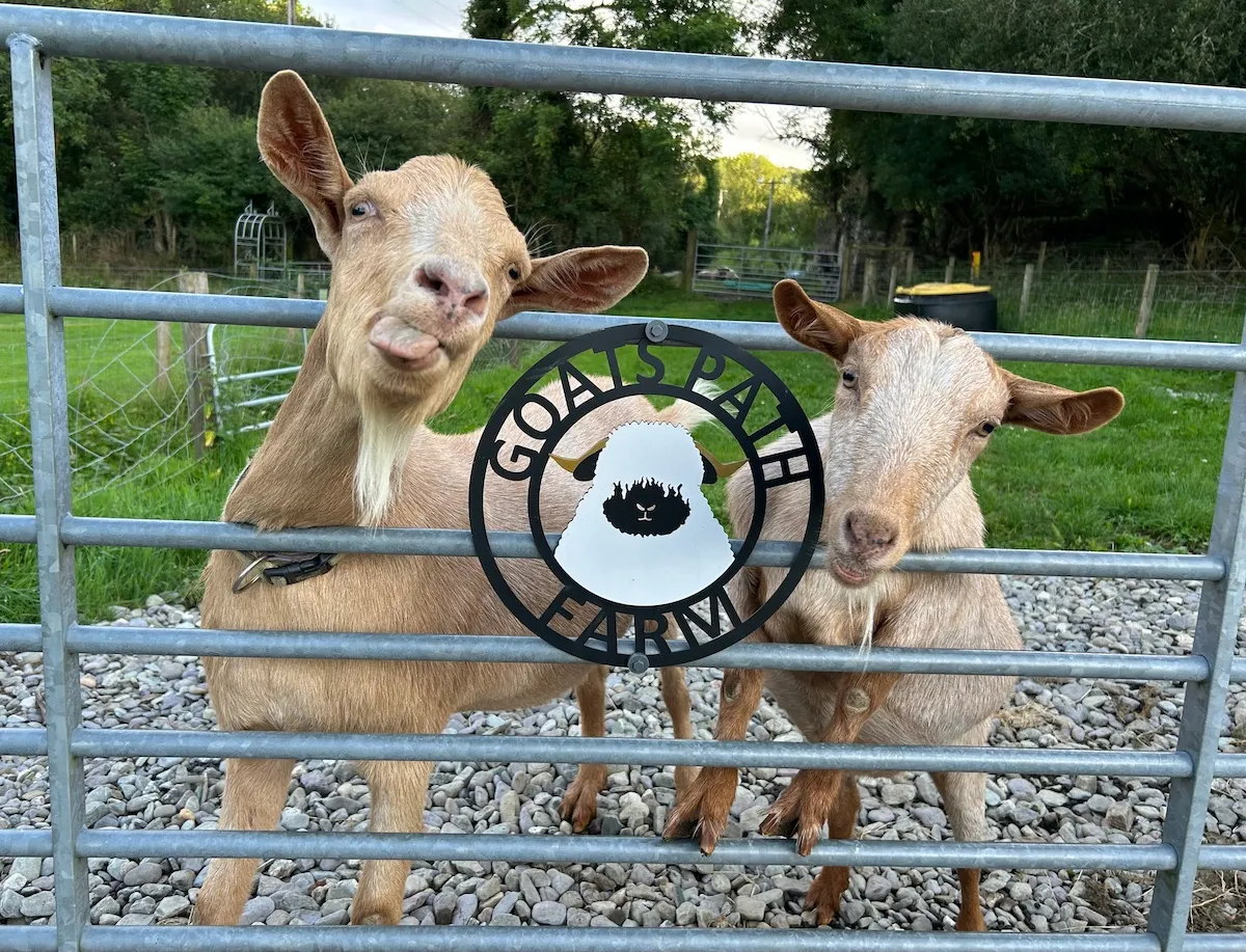 Goats Path Farm & Pod Park — photo 66 of 80